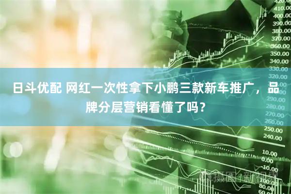 日斗优配 网红一次性拿下小鹏三款新车推广，品牌分层营销看懂了吗？