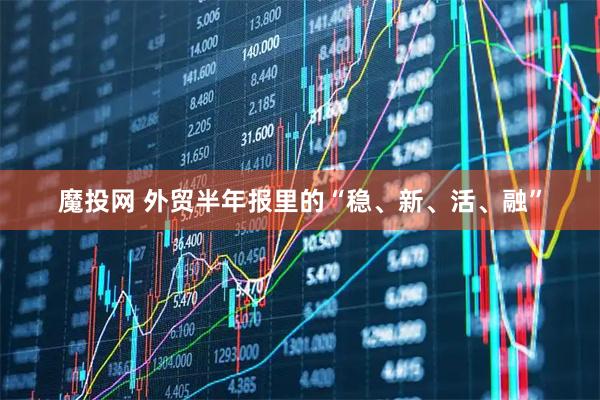 魔投网 外贸半年报里的“稳、新、活、融”